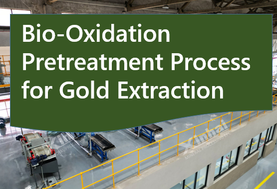 Bio-Oxidation Pretreatment Process for Gold Extraction.png